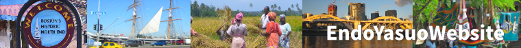 EndoYasuoWebsite